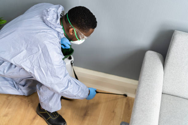 Best Bed Bug Extermination  in Lady Lake, FL